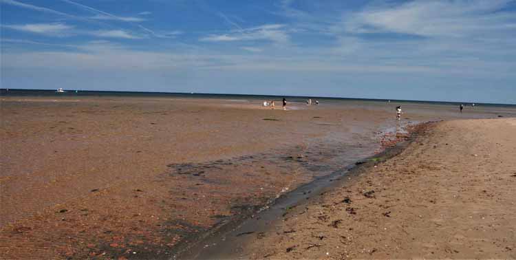 beach and coastline